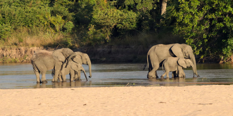 Lodgereise – Safaritraum Sambia