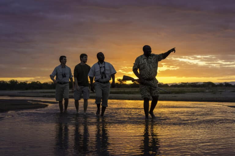 Walking Safari