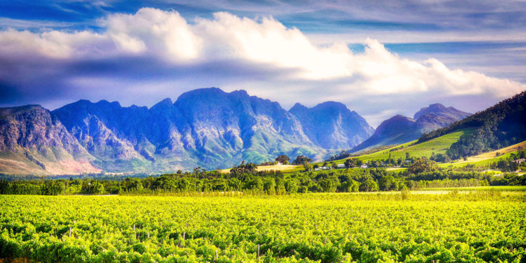 Berge und Weinreben in Stellenbosch