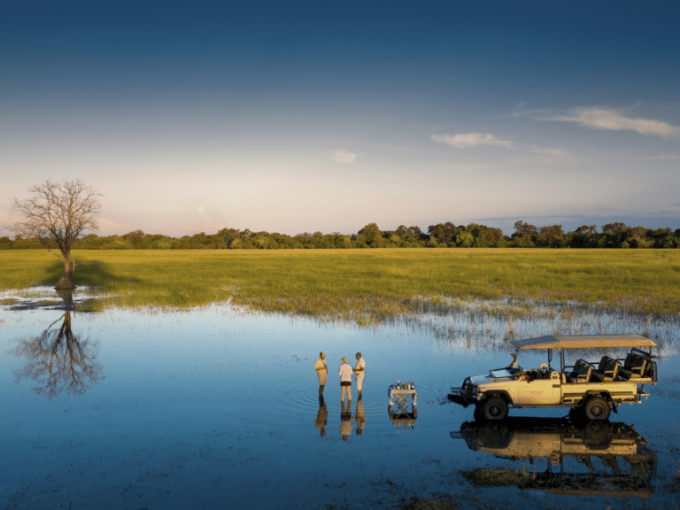 botswana_okavango_delta_leadwood
