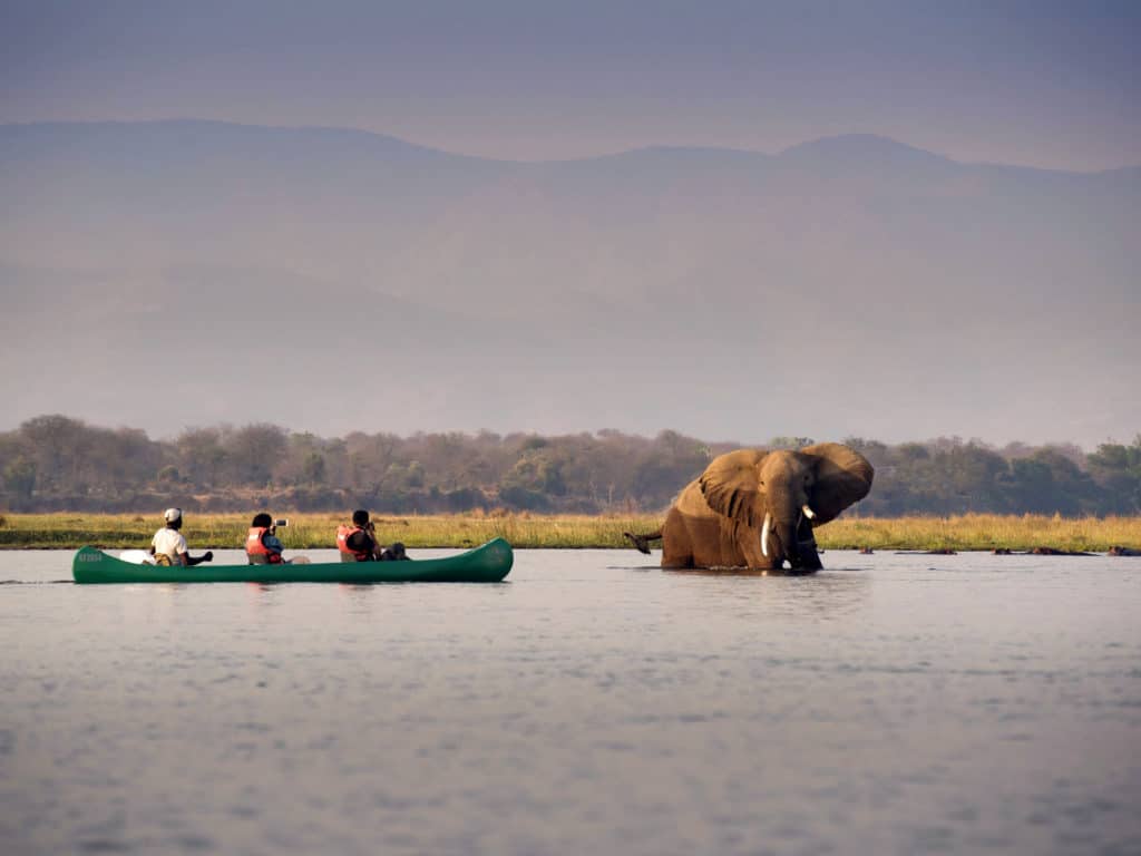 Kanu auf dem Fluss mit Elefant und Flusspferden