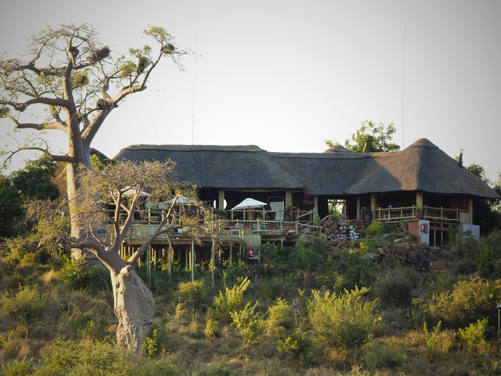 ngoma-safari-lodge-landschaft-und-umgebung2