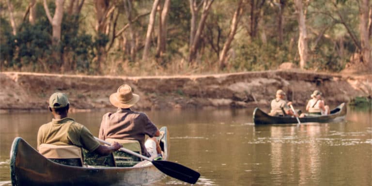Lodgereise – Vielfältiger Lower Zambezi