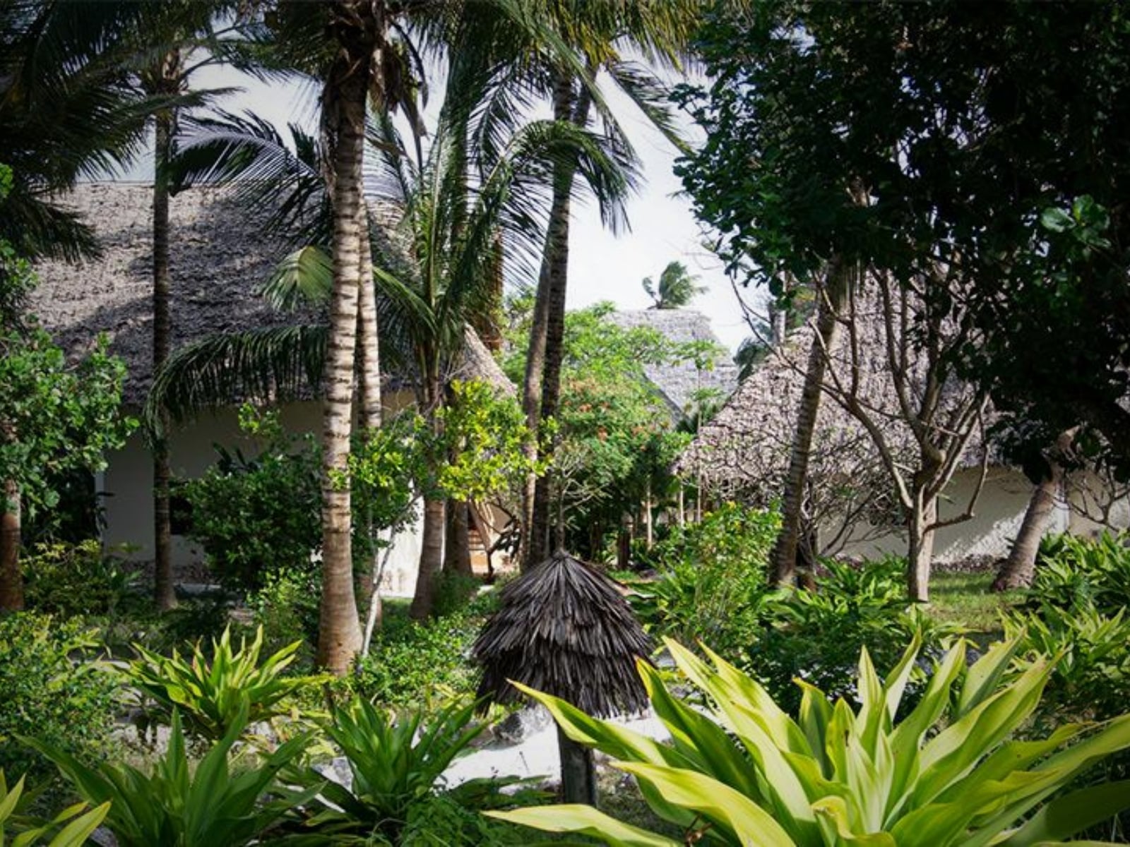 zanzibar-pearl-boutique-hotel-villas-landschaft-und-umgebung1