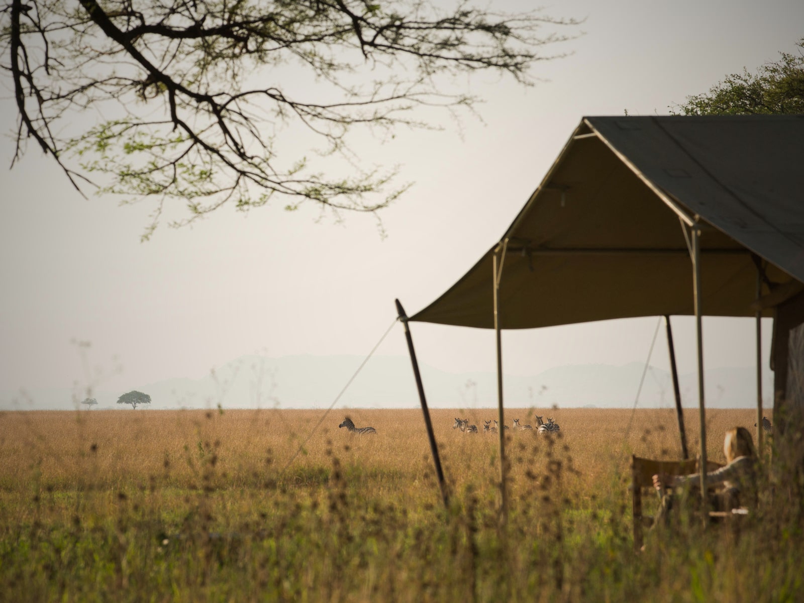 serengeti-safari-camp-gaeste-unterkuenfte7