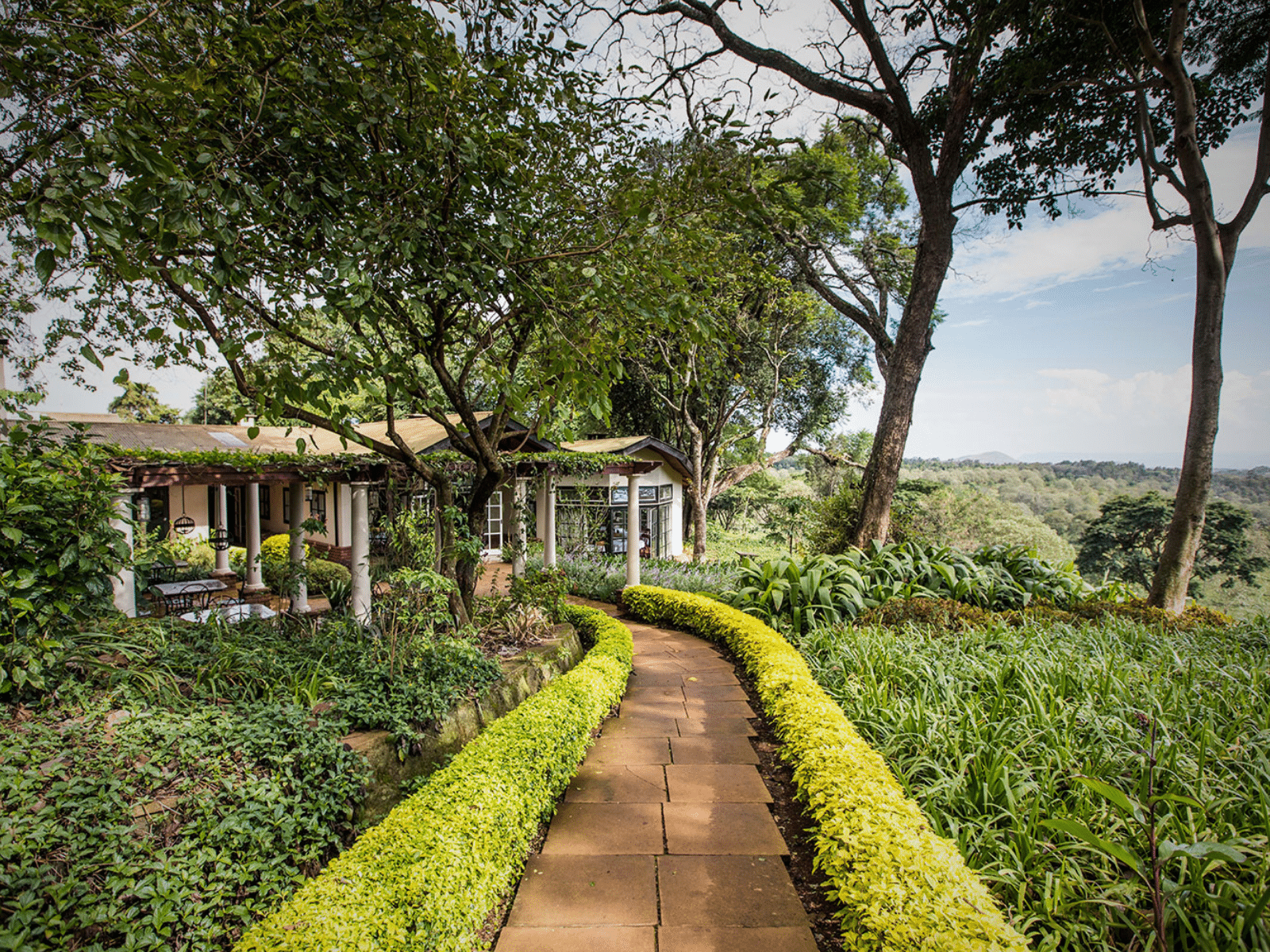 gibbs_farm_title