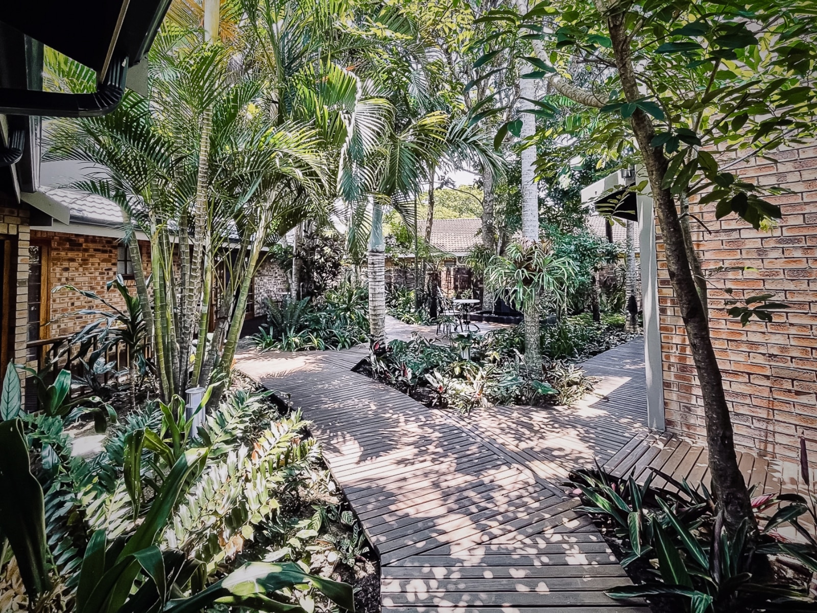 rhino-coast-guesthouse-landschaft-und-umgebung2