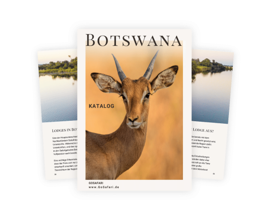 Katalog_Botswana