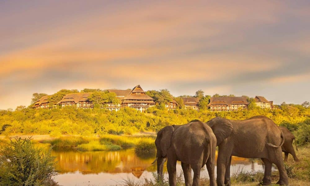 Elefanten am Wasserloch mit Lodge im Hintergrund