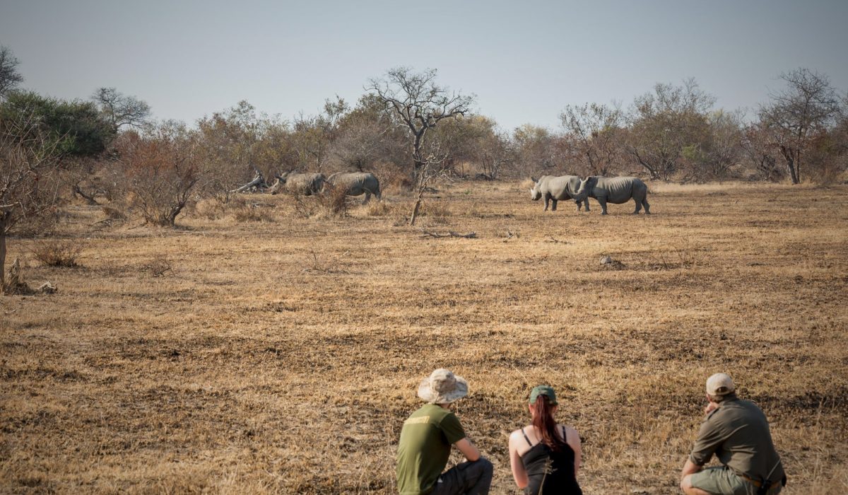 africa-on-foot-landschaft-und-umgebung19