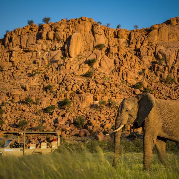 camp-kipwe-aktivitaeten1