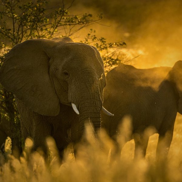 camp-kipwe-aktivitaeten3