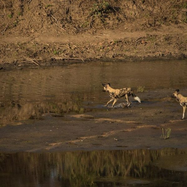 chilo-gorge-safari-lodge-landschaft-und-umgebung8