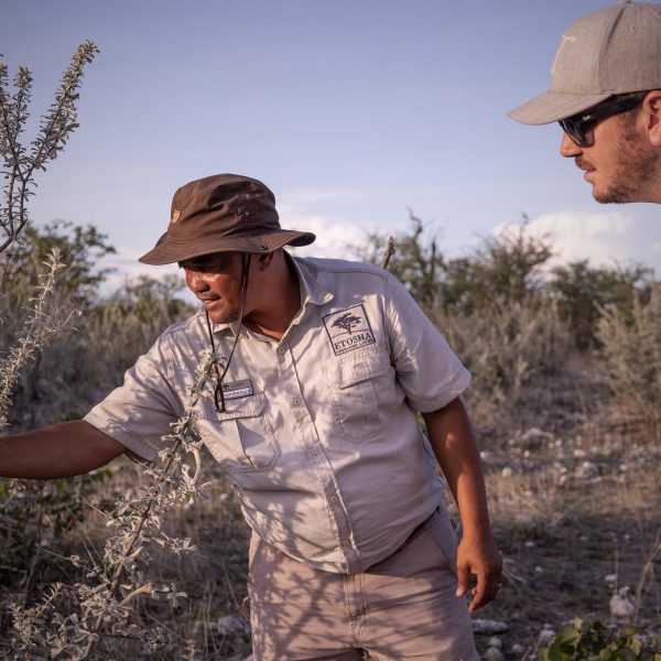 etosha-oberland-lodge-aktivitaeten10