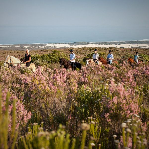grootbos-forest-lodge-aktivitaeten4