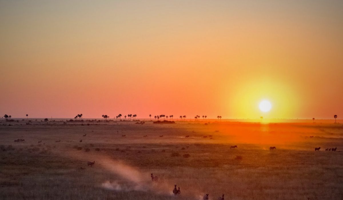 jacks-camp-landschaft-und-umgebung3