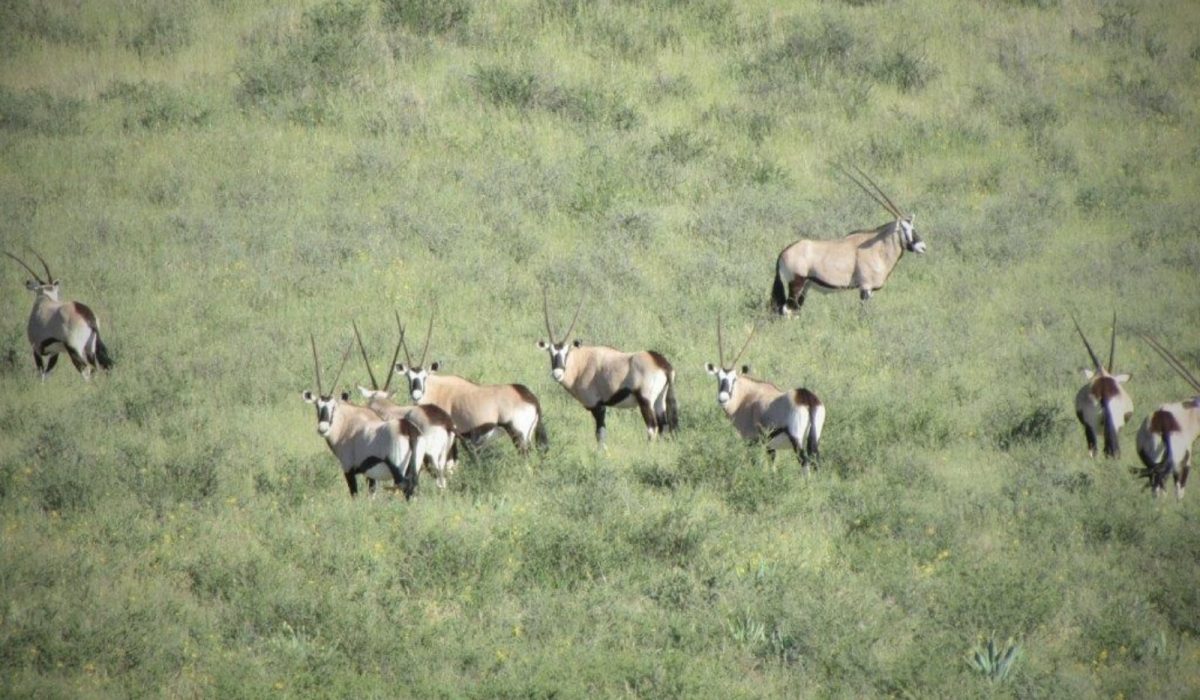 kalahari-game-lodge-landschaft-und-umgebung5