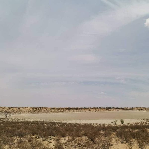 kgalagadi_transfrontier_nationalpark_pan