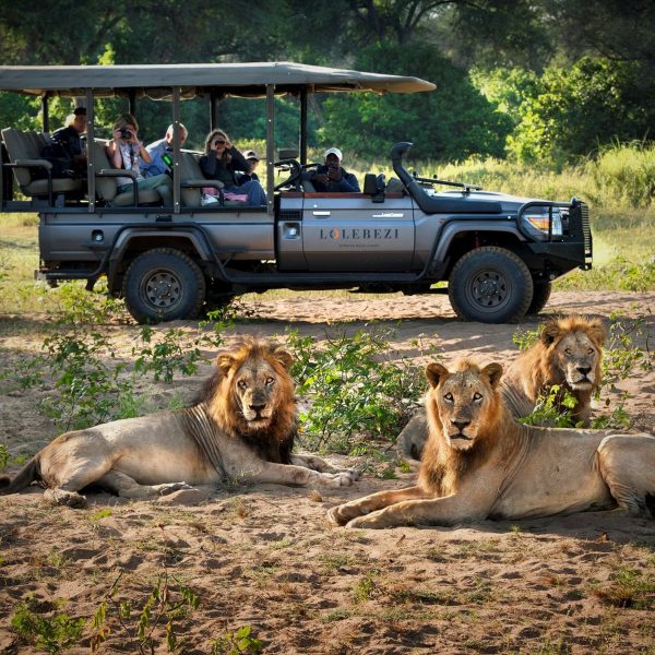 lolobezi-safari-lodge-gaeste-unterkuenfte8