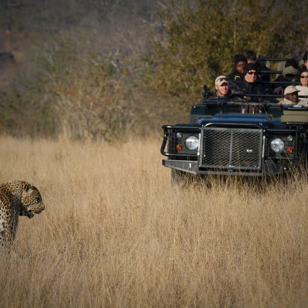 londolozi-private-granite-suites-landschaft-und-umgebung11