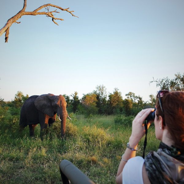 londolozi-private-granite-suites-landschaft-und-umgebung20