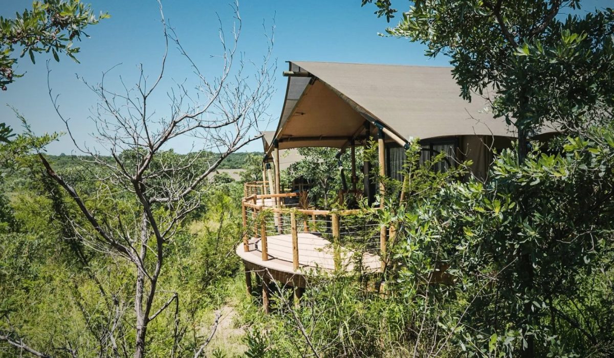 mdluli-safari-lodge-gaeste-unterkuenfte8