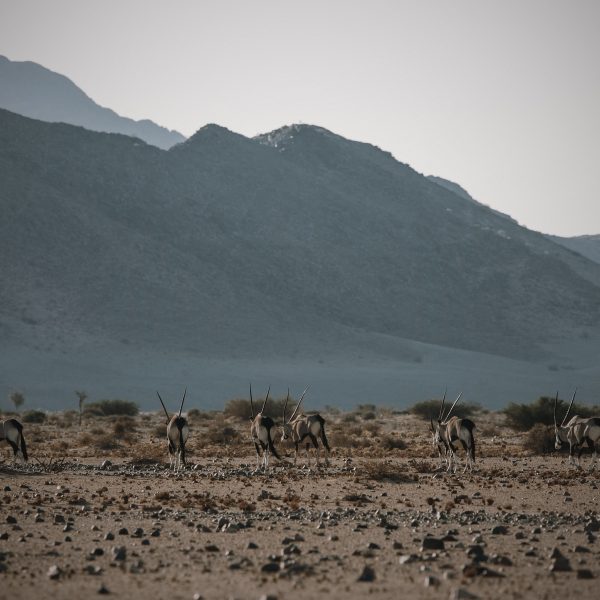 namib-outpost-aktivitaeten4