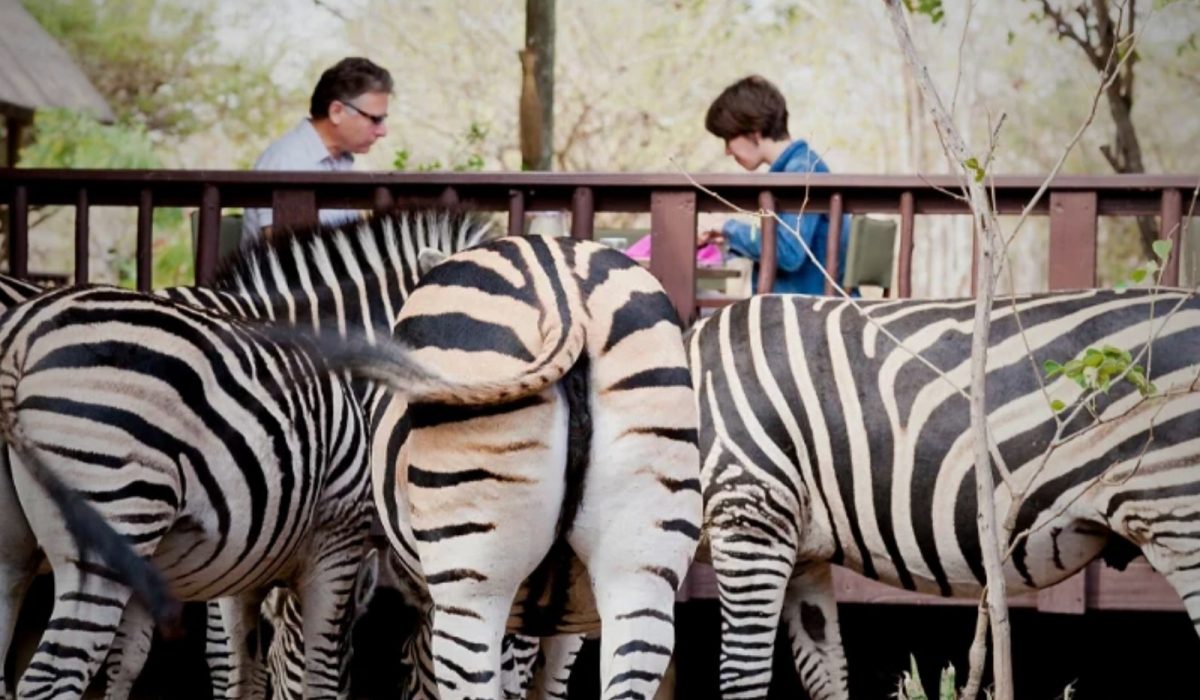 needles-safari-lodge-landschaft-und-umgebung3
