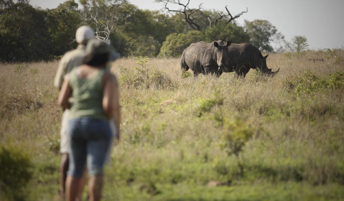 ngala-tented-camp-aktivitaeten10