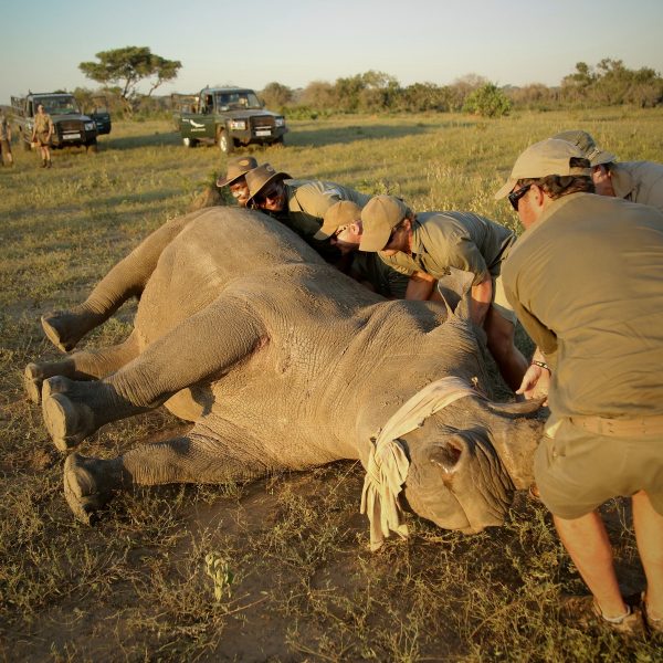 ngala-tented-camp-aktivitaeten21