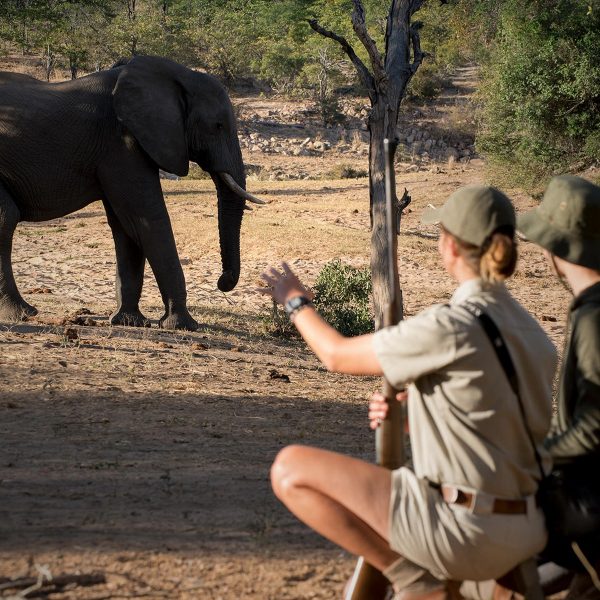 ngala-tented-camp-aktivitaeten8