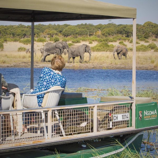 ngoma-safari-lodge-aktivitaeten3