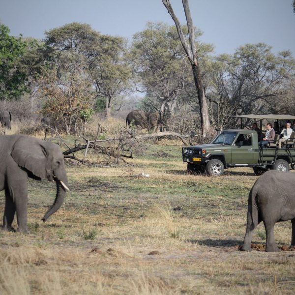 nkasa-lupala-tented-lodge-landschaft-und-umgebung17