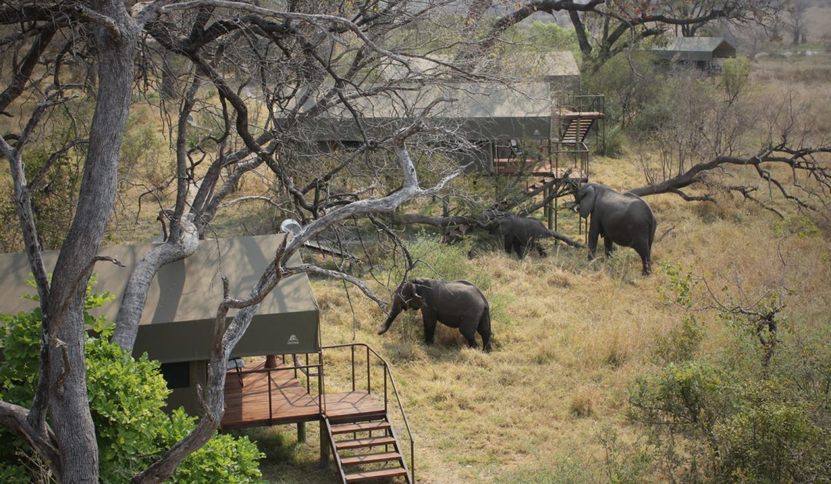 nkasa-lupala-tented-lodge-landschaft-und-umgebung3