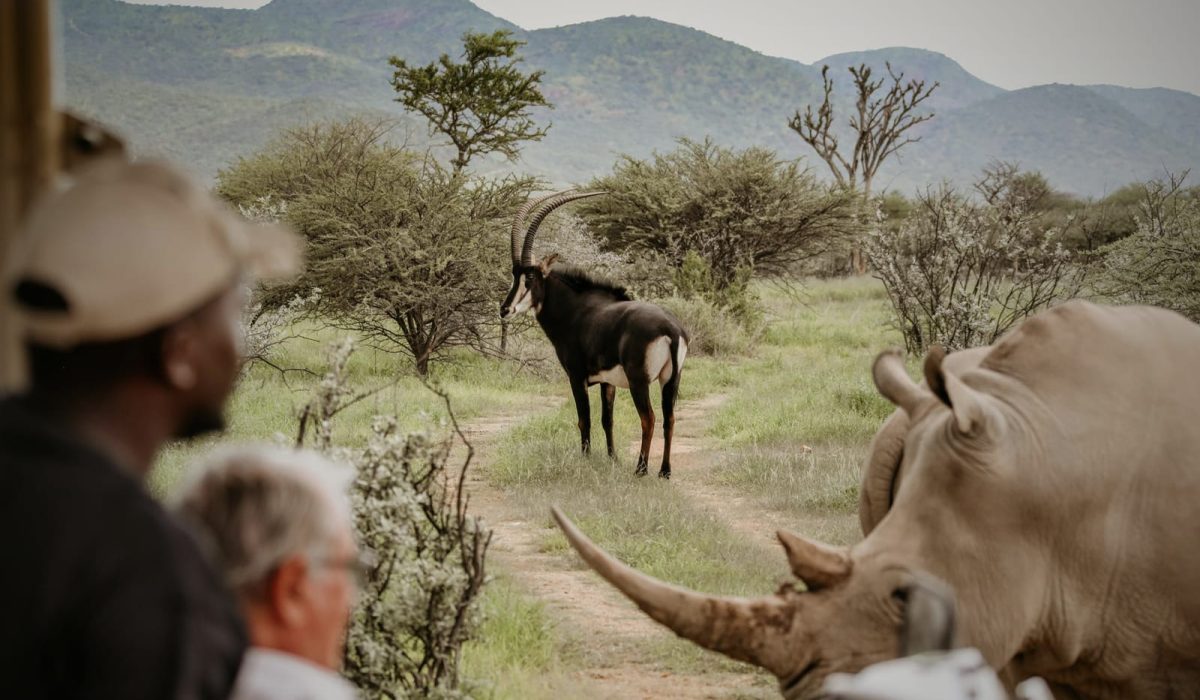 okapuka-safari-lodge-landschaft-und-umgebung5