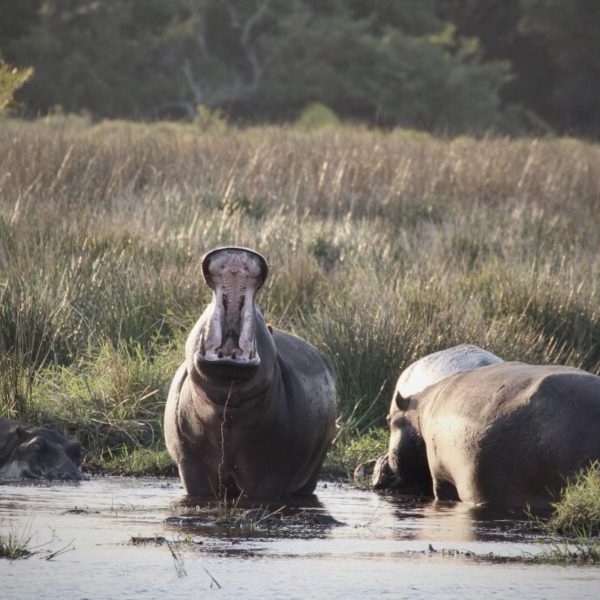 rhino-coast-guesthouse-landschaft-und-umgebung3