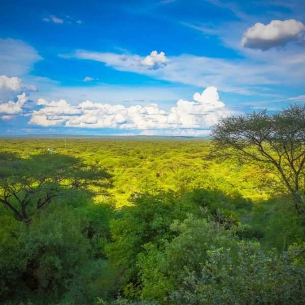 sangaiwe-tented-lodge-landschaft-und-umgebung3