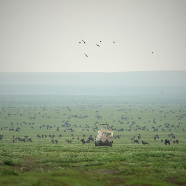 serengeti-safari-camp-aktivitaeten3