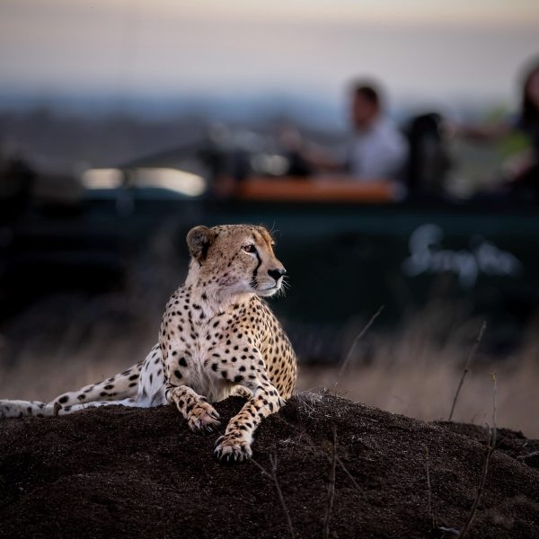 singita-ebony-lodge-aktivitaeten5