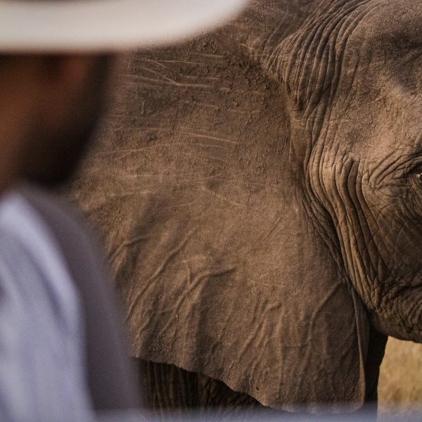 singita-lebombo-lodge-aktivitaeten4
