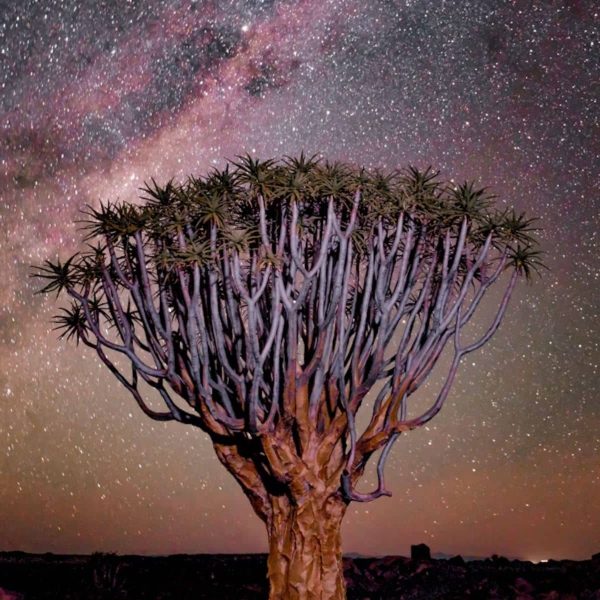 sternbeobachtung_namibia
