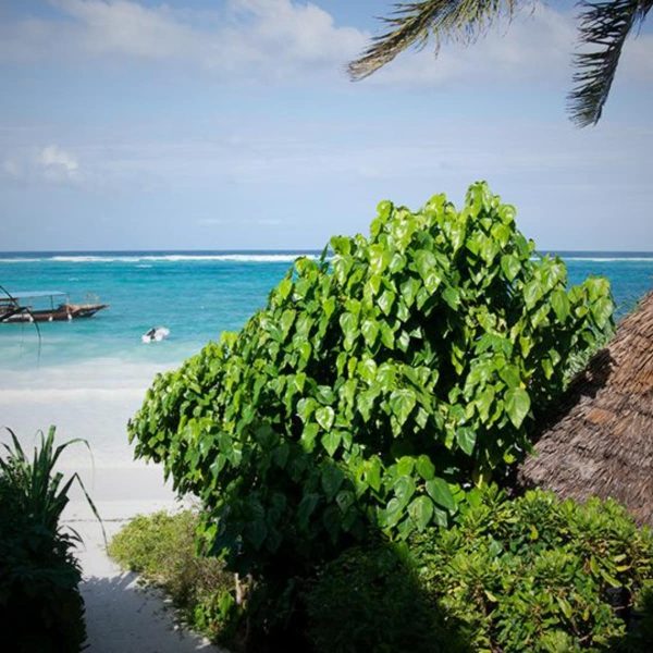 zanzibar-pearl-boutique-hotel-villas-landschaft-und-umgebung2
